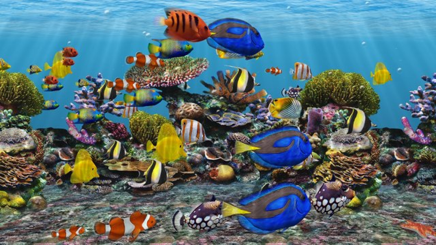 free download aquarium desktop 3d